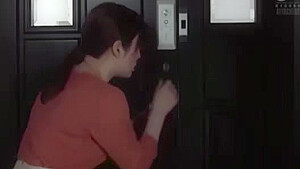 04828,Japanese lewd sex videos