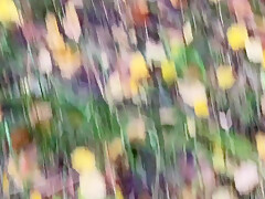 #376 Guy Catches Guy Jerking Off In The Woods And Joins To Fuck Him