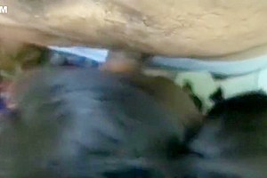 Amateur latin Tgirl Sucking and Fucking