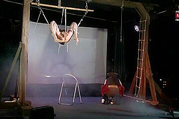 Amazing Show