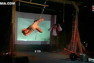 Amazing Show