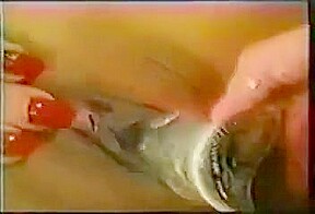 American perverse volume1