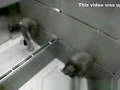 An elevator in Las Vegas