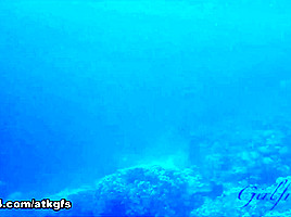 Ashley Lane in Virtual Vacation Movie - ATKGirlfriends