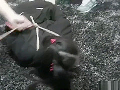 Asian Bondage