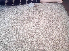 Asmr Foot Moisturising Routine (cream + Whispers)