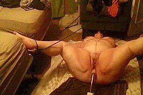 Bbw wife training