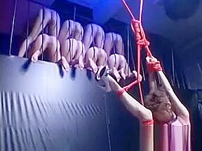 Beauty Is Having Wild Sex