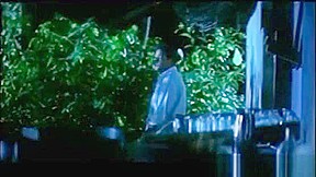 Bgrade Madhuram South Indian mallu nude sex video compilation