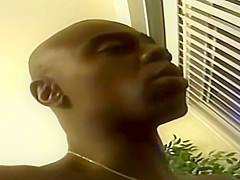 Big Tits Box DVD 22