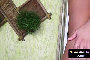 Blackhair Tgirl Strips Before Jerking Off And Toying Ass