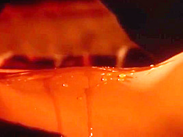 Bo Derek nude from Bolero