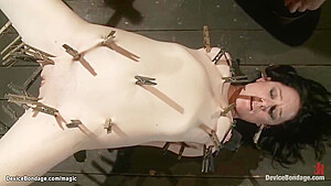 Bound Slave In Metal Body Clamped