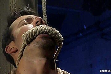 BoundGods : The Hiker