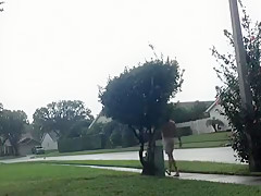 Boxers In The Rain