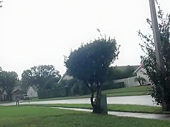 Boxers In The Rain
