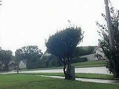 Boxers In The Rain