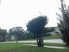 Boxers In The Rain