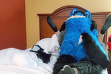 Brff Murrsuit Orgy Party