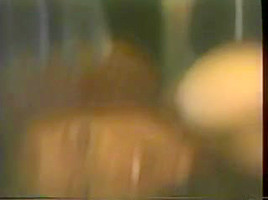 British bitch Vida Garman lesbo in a classic scene
