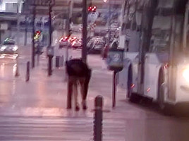 CLIP #256 _ Voyeurismo Public Sex 2