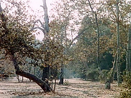 Casanova ii (1982) - remastered