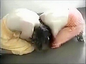 Catfight 1
