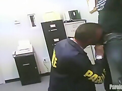 Cops Poke Tasty Suspects