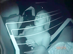 Couples enjoy car sex