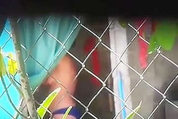 Desi Peeping Tom