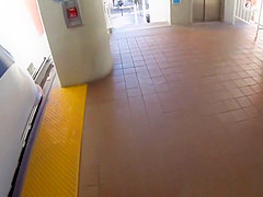 Dicksucking beauty pickedup and fucked