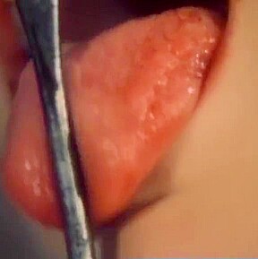 Erotic Interludes
