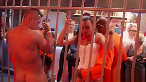 Erotic babes blow penis and enjoy poking and sex orgy