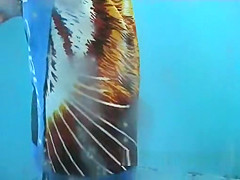 Exclusive , , Beach Clip Show