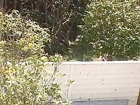Exotic Japanese chick Ren Serizawa in Fabulous Stockings, Compilation JAV video