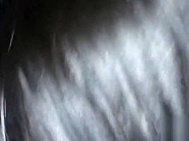 Exotic sex scene Amateur watch only here