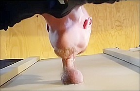 FAN REQUEST - COWBOY CUM reloaded