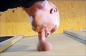 FAN REQUEST - COWBOY CUM reloaded