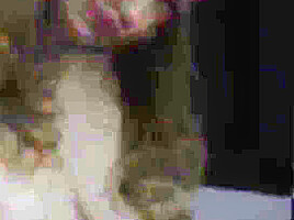 Fiona 144