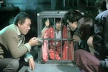 Flower and Snake 3 Punishment (1986)