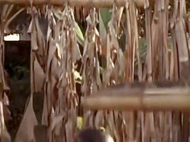 Gabriela - Vintage Movie