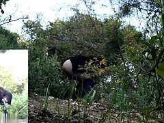 Girls Pissing video 158