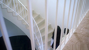 Gorgeous teen 18+ banged and creamed by stepbro