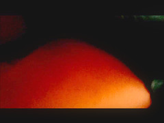 Haruhi Suzumiya Cosplay Upskirt (Shorts)