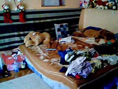 Hidden sex cam clip shows two lovers fucking