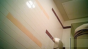 Hidden toilet_2135