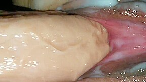 Horny Creampie, Wife xxx video