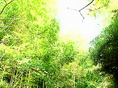Horny Japanese chick in Exotic Outdoor, HD JAV video