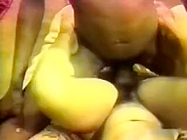 Horny amateur Hairy, Retro adult movie