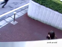 Japanese chicks revealed in top sharking incidents